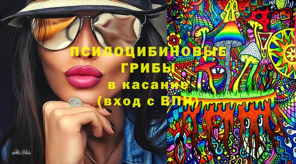 мдпв Ладушкин