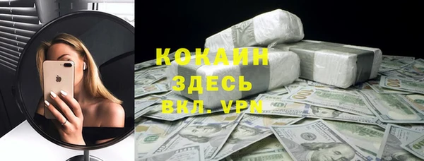 мдпв Ладушкин