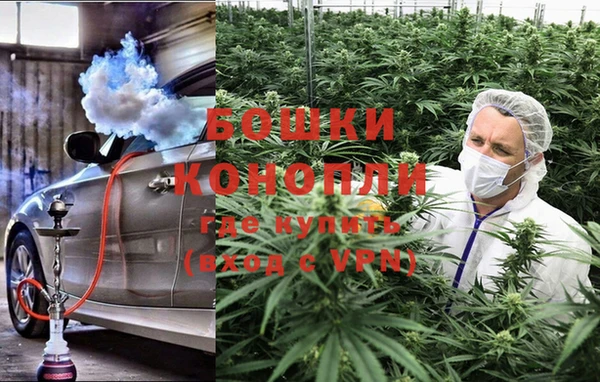 ГАЛЛЮЦИНОГЕННЫЕ ГРИБЫ Куйбышев