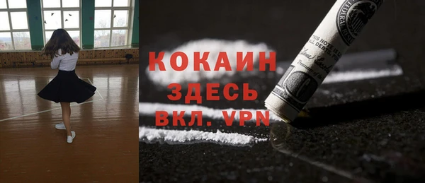 мдпв Ладушкин