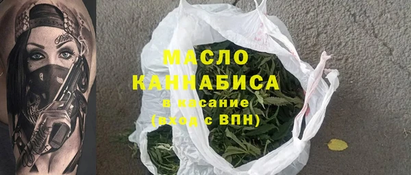мдпв Ладушкин